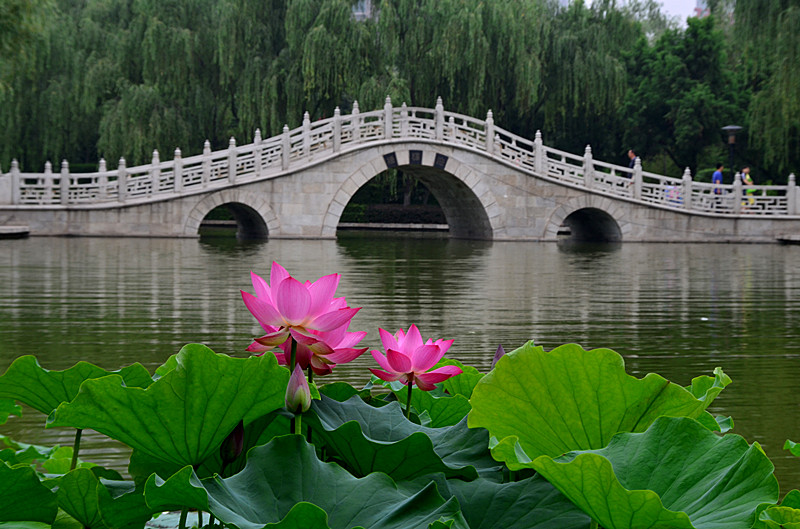 照片 050_副本.jpg