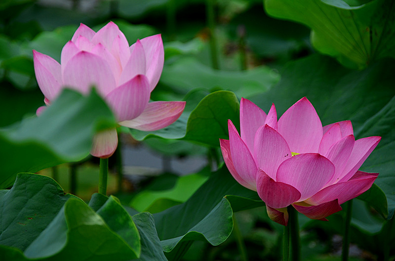 照片 055_副本.jpg