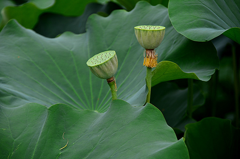 照片 088_副本.jpg