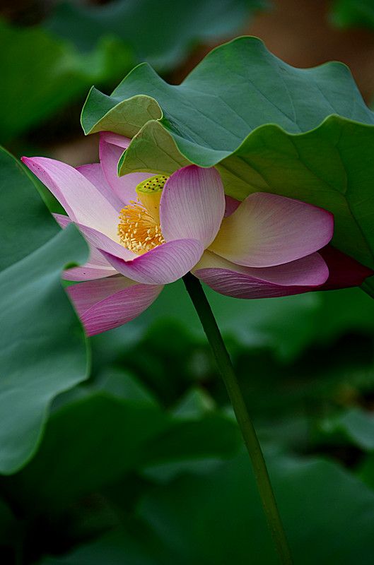 照片 090_副本.jpg