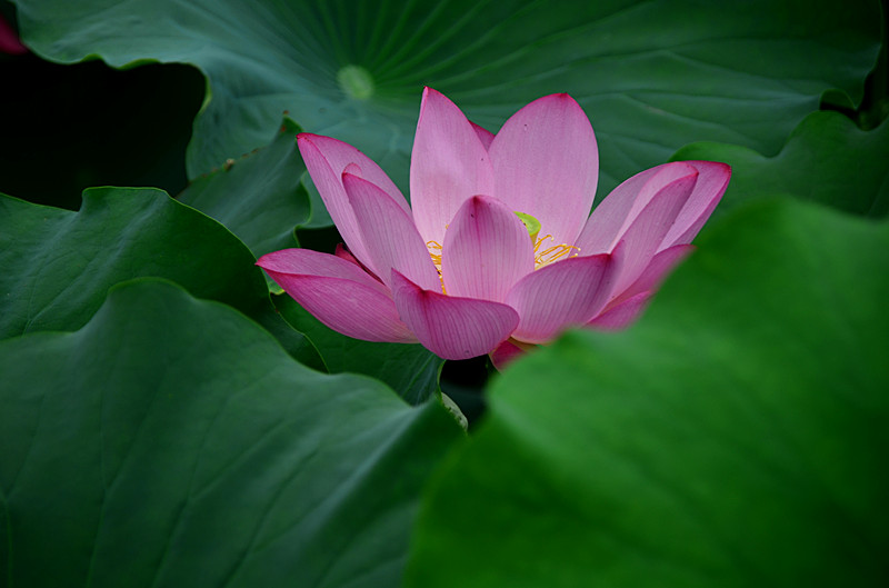 照片 092_副本.jpg