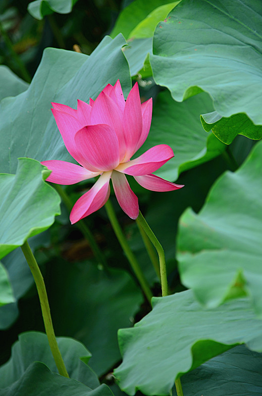 照片 093_副本.jpg