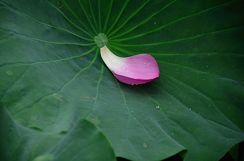 照片 094_副本.jpg