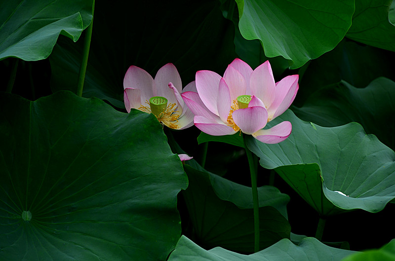 照片 097_副本.jpg