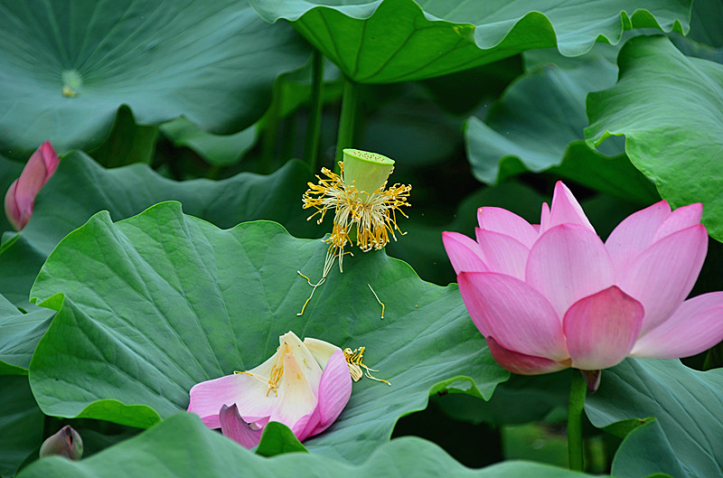 照片 099_副本.jpg