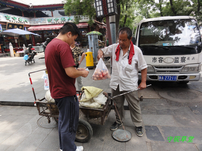 DSC01708.jpg