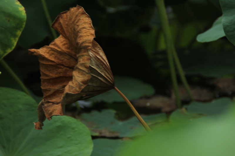 照片 077.jpg