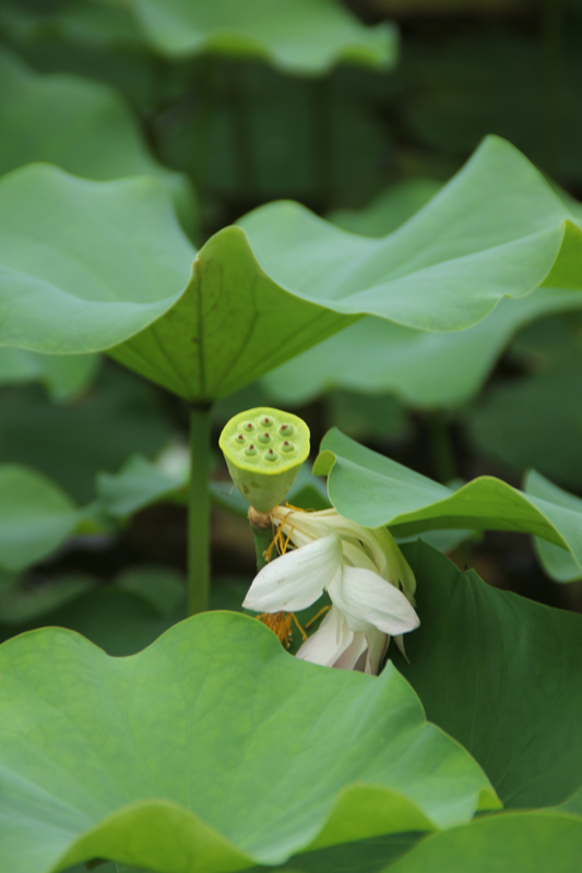 照片 104.jpg