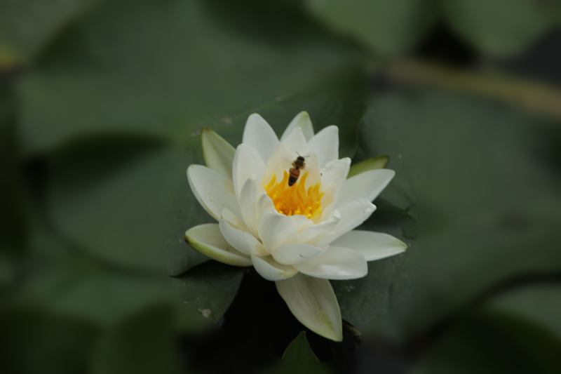 照片 117.jpg