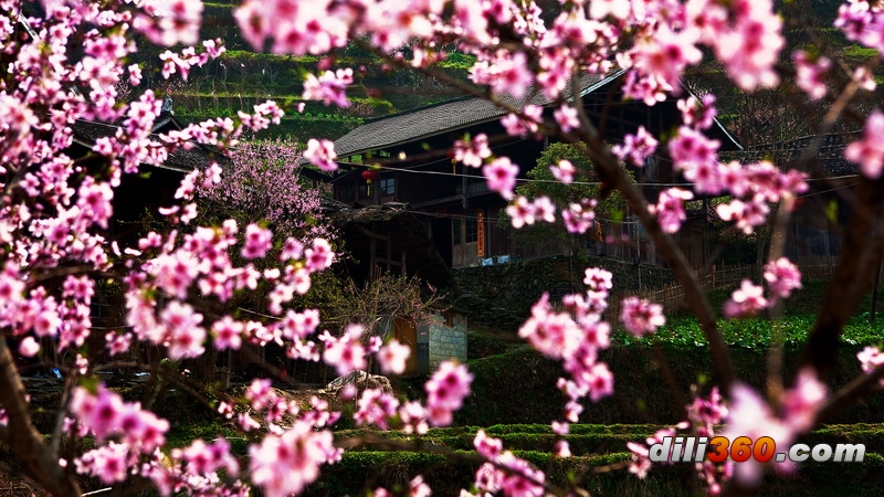照片 087.jpg