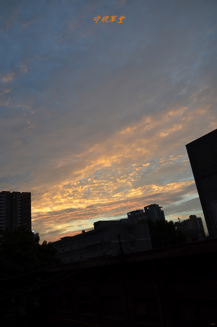 DSC_0009.jpg