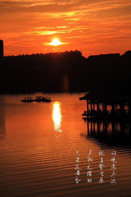IMG_0233_副本.jpg