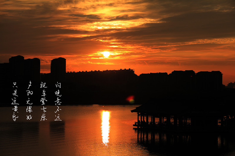 IMG_0228_副本.jpg