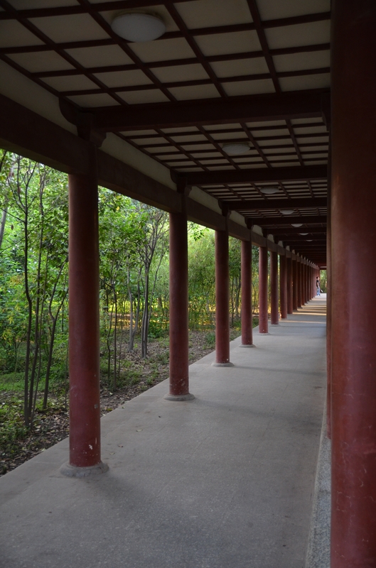 K01_1496.JPG