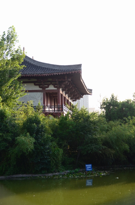 K01_1481.JPG