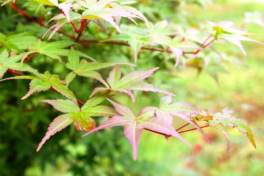 照片 020_meitu_6.jpg