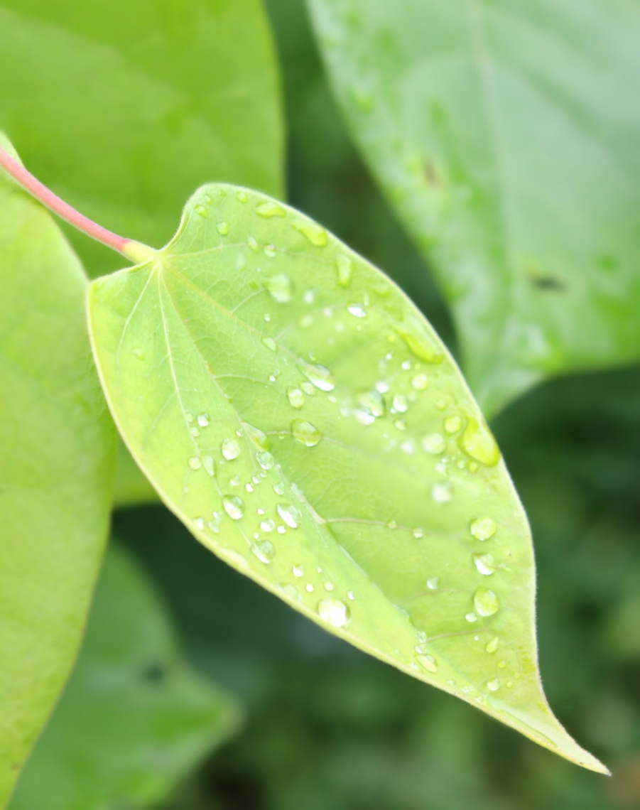 照片 024_meitu_8.jpg