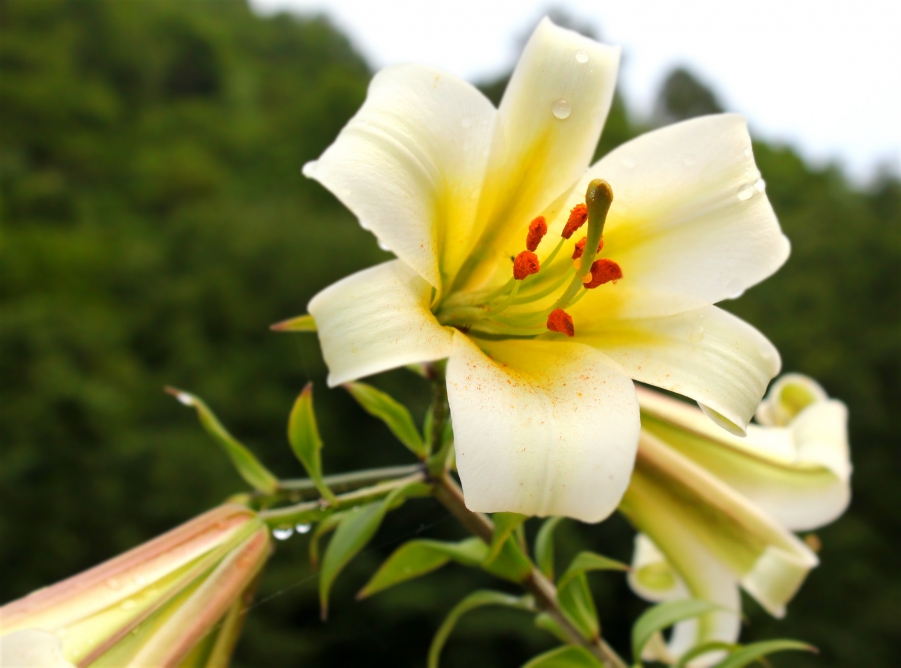 照片 061_meitu_1.jpg