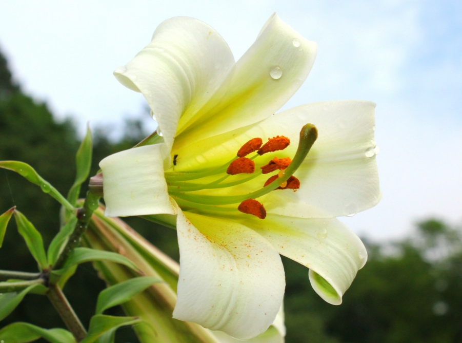 照片 062_meitu_4_meitu_5.jpg