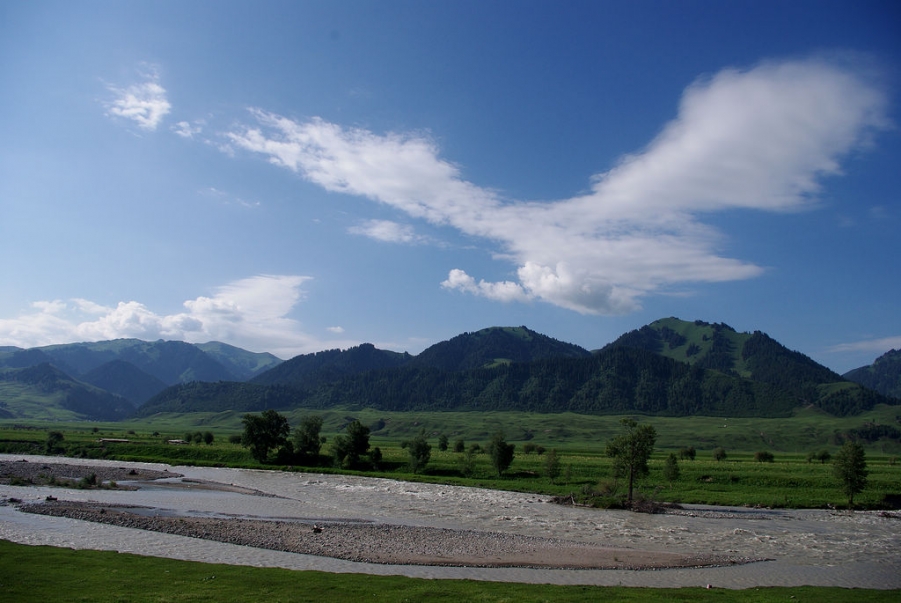 IMGP8146.jpg