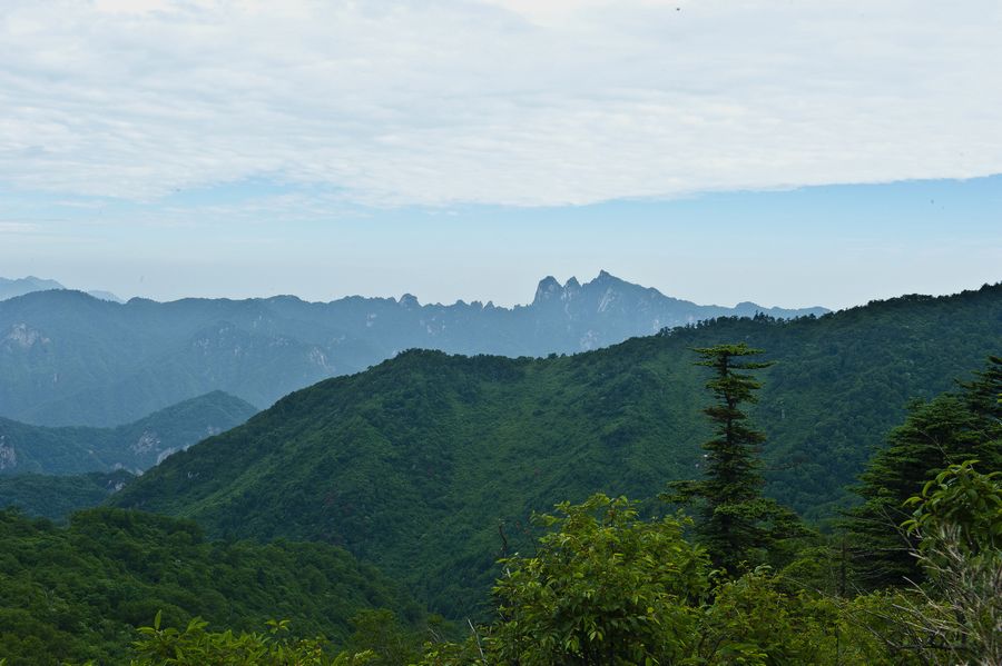 DSC_9185.jpg