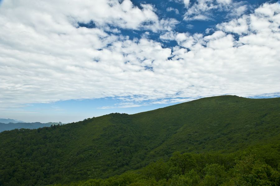 DSC_9227.jpg