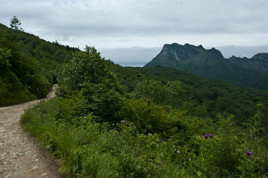 DSC_9335.jpg