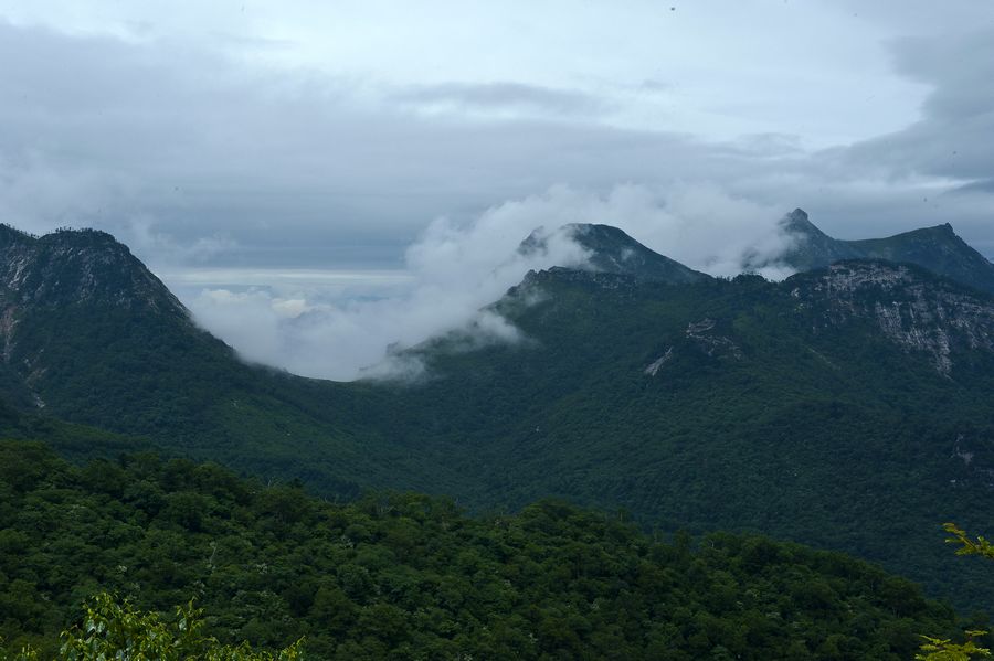 DSC_9347.jpg