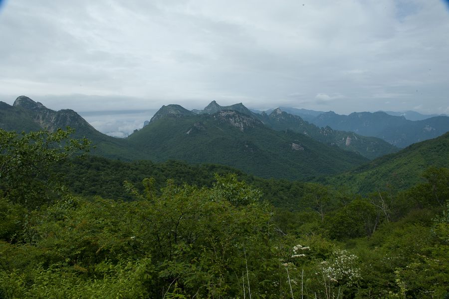 DSC_9323.jpg