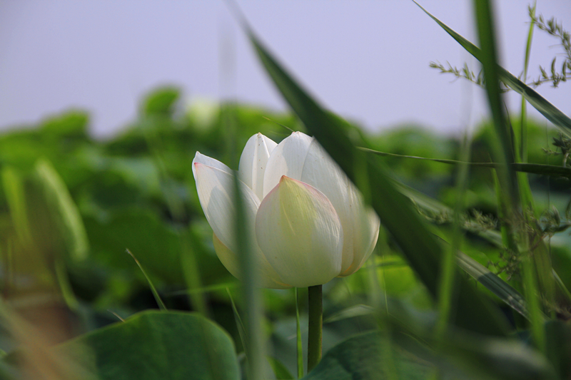 公园 048_副本.jpg