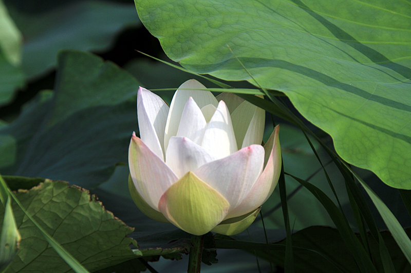 公园 033_副本1.jpg