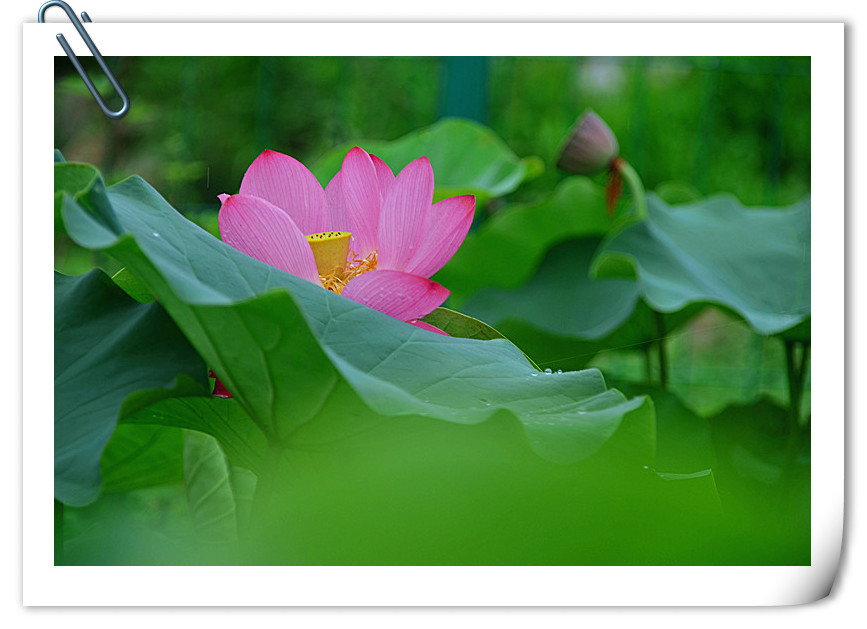 DSC_5044_副本_副本.jpg