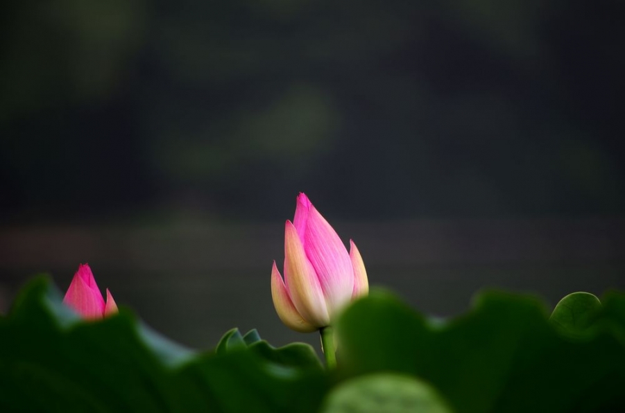 nEO_IMG_IMGP5024.jpg