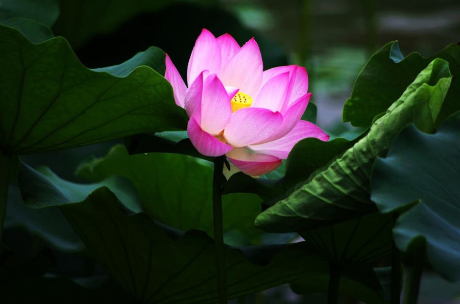nEO_IMG_IMGP5028.jpg