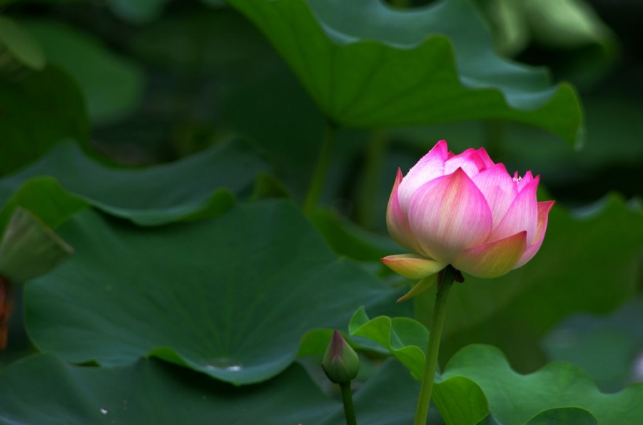 nEO_IMG_IMGP5051.jpg