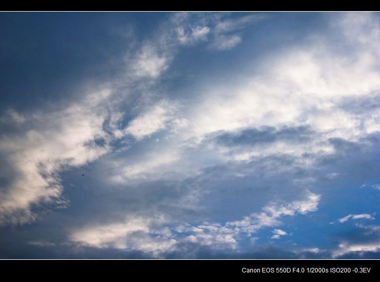 20110709-IMG_6414-1.jpg