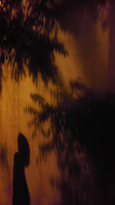 IMAG0277.jpg