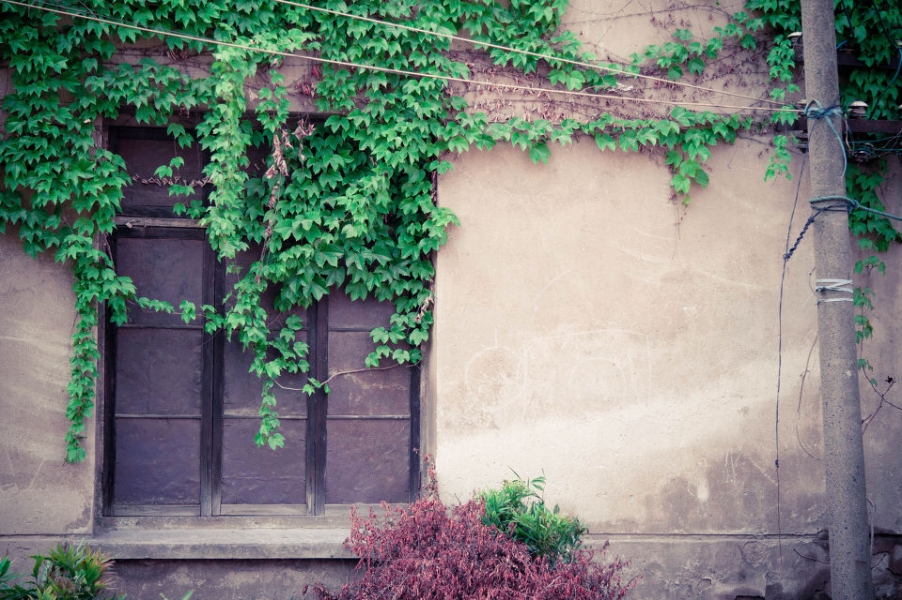 9EC2AC0B7F5617C8FAAC1C3934B7B16B_960_640.JPEG