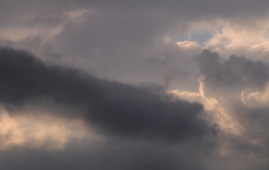 DSC_6631.JPG