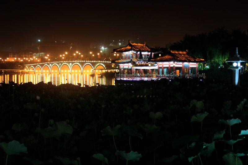 nEO_IMG_曲江南湖48.jpg
