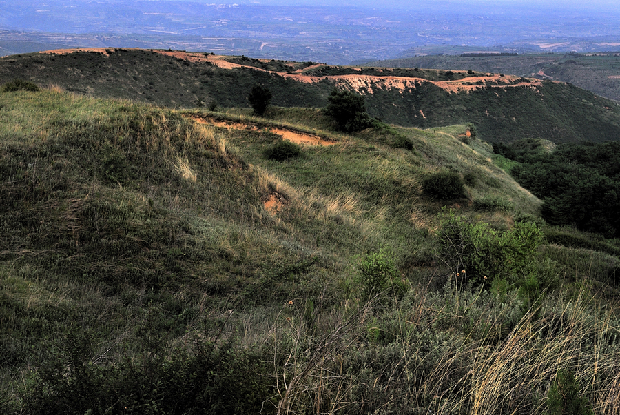 _DSC0015.jpg