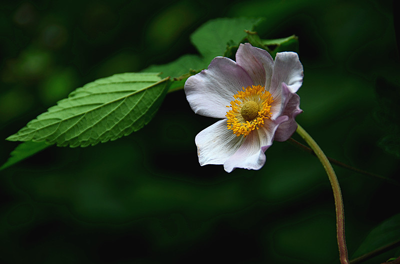 照片 031_副本.jpg