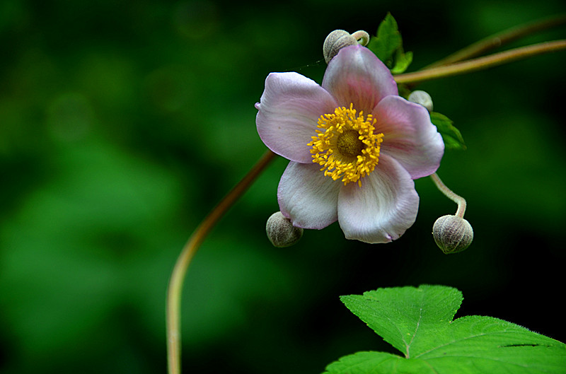 照片 033_副本.jpg