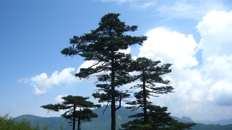 照片 024.jpg