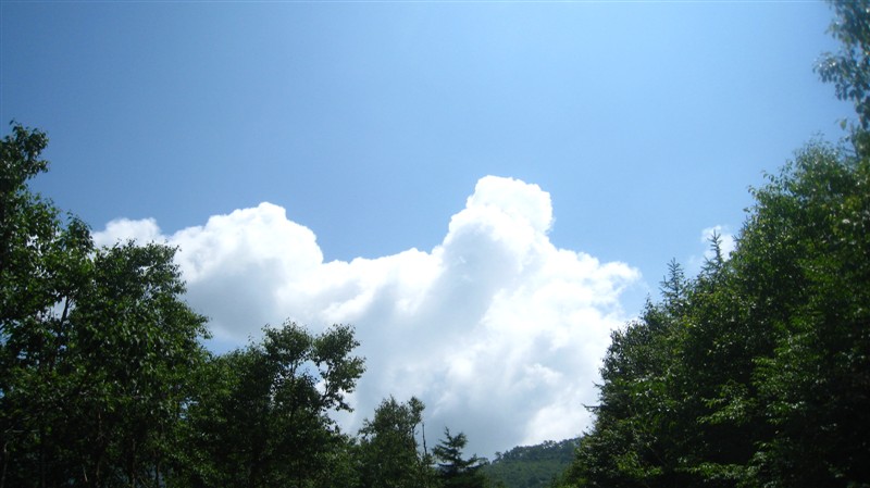照片 026.jpg