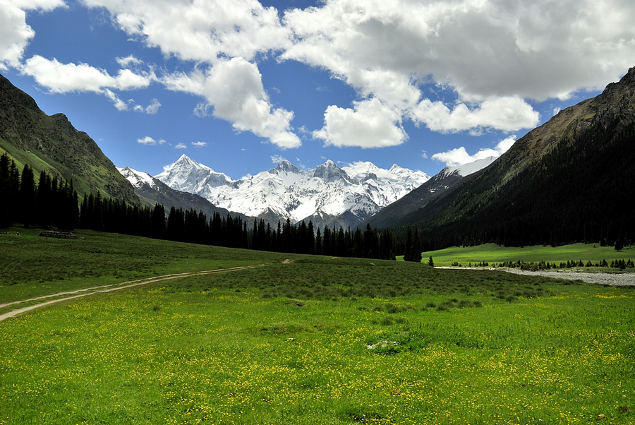 _DSC0084.jpg
