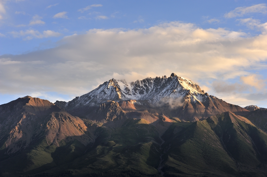 _DSC0866.jpg
