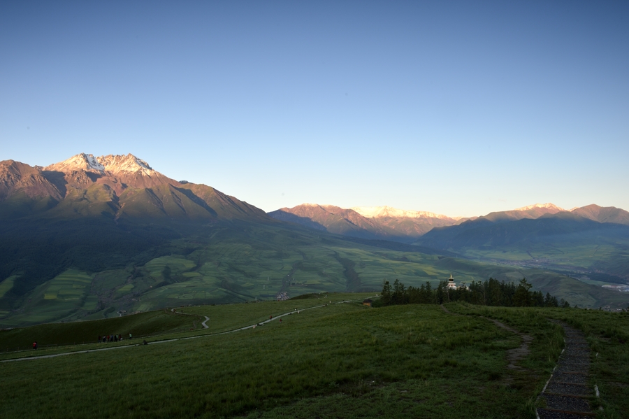 _DSC3993.jpg