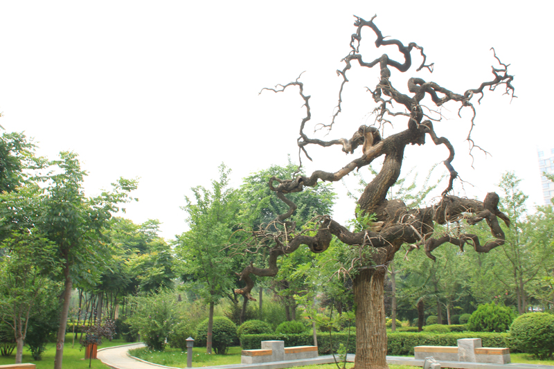 照片 028.jpg