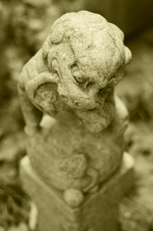 _DSC7651.JPG